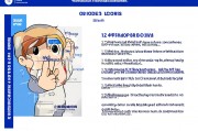2025年成人本科报名时间及报考指南