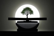 协同生态，构建未来可持续发展的新范式