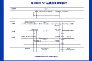 大专学历可以当小学老师吗？解析学历要求与职业发展路径