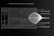 编码融合，技术演进中的跨界创新与未来展望